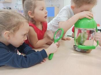 IMG_20210126_103057