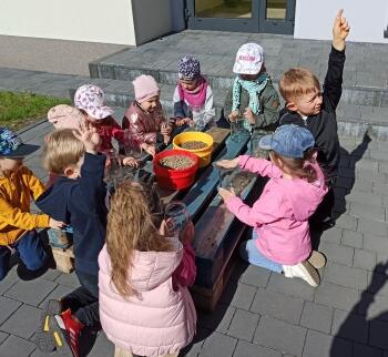 IMG_20210511_182610
