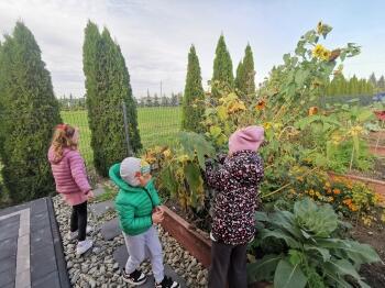 IMG_20221005_130759_resized_20221005_075847782