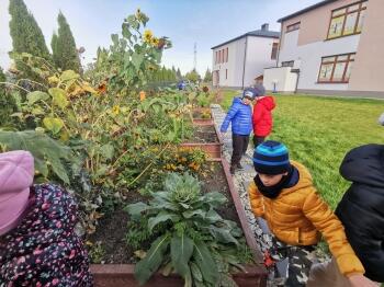 IMG_20221005_130803_resized_20221005_075848310