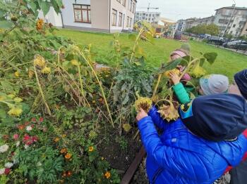 IMG_20221005_130838_resized_20221005_075847425