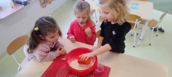 IMG_20251124_102219002_AE