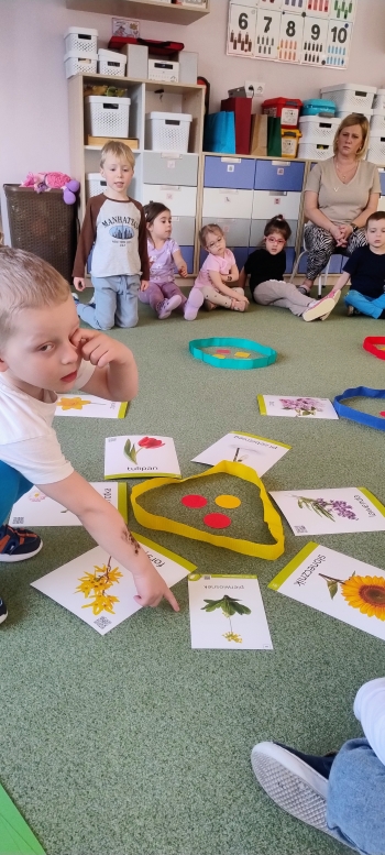 IMG_20260312_130226389_AE