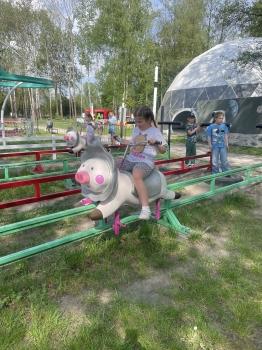 IMG_8890.jpeg